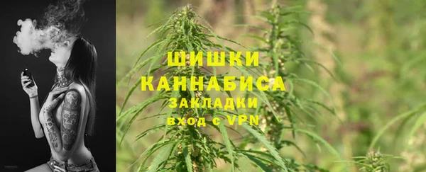 соль ск Бронницы