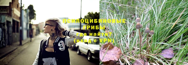 ПСИЛОЦИБИНОВЫЕ ГРИБЫ Верхнеуральск
