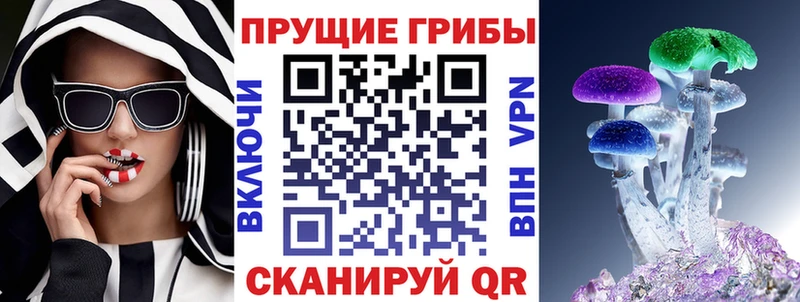 omg сайт Ковдор Псилоцибиновые грибы Cubensis купить наркотик